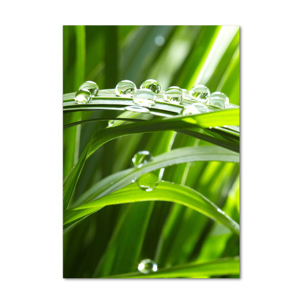 Verticaal glasschilderij grassprieten