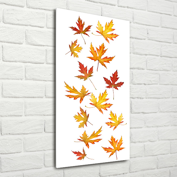 Verticale foto op glas Herfstbladeren