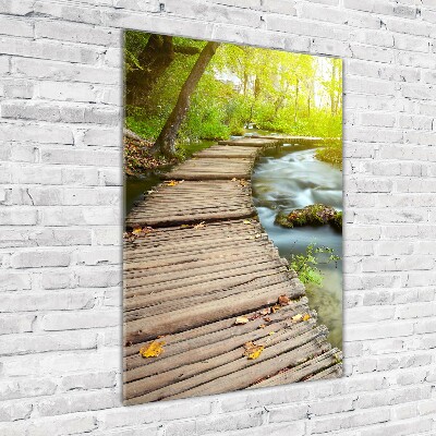 Verticale foto op glas Pad in het bos