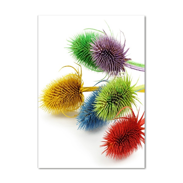 Verticale glasfoto Distel