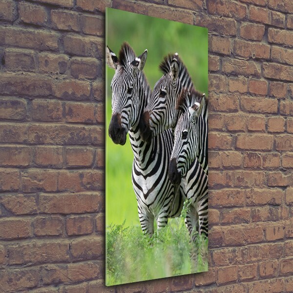 Verticaal glasschilderij Drie zebra's