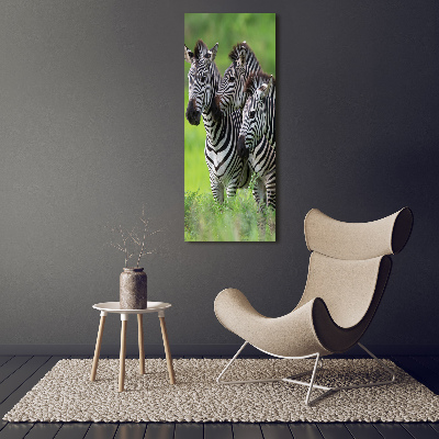 Verticaal glasschilderij Drie zebra's