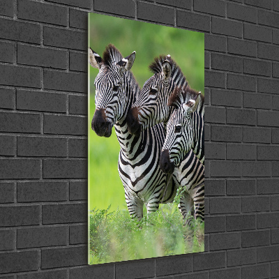Verticaal glasschilderij Drie zebra's