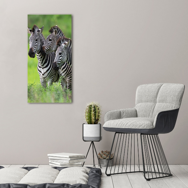 Verticaal glasschilderij Drie zebra's