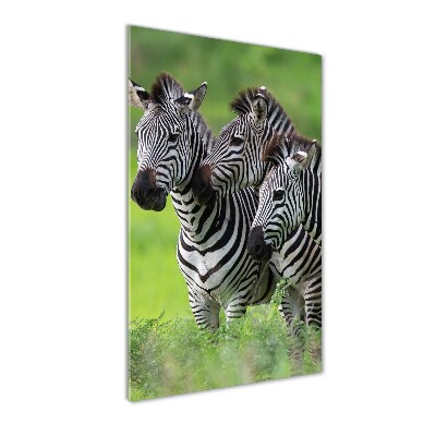 Verticaal glasschilderij Drie zebra's