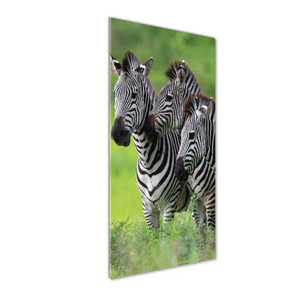 Verticaal glasschilderij Drie zebra's