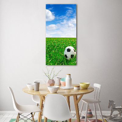 Verticale foto op glas Voetbal op het veld