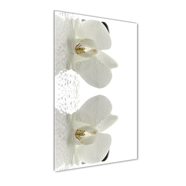 Verticaal glasschilderij Orchidee en stenen