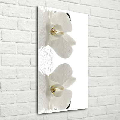 Verticaal glasschilderij Orchidee en stenen