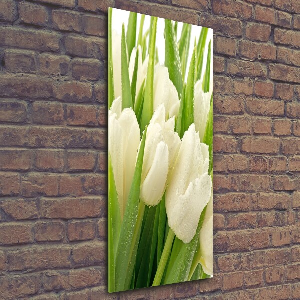 Verticale foto op glas Witte tulpen