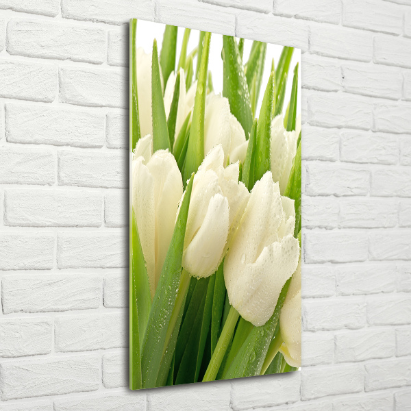 Verticale foto op glas Witte tulpen