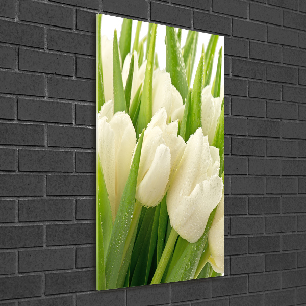Verticale foto op glas Witte tulpen