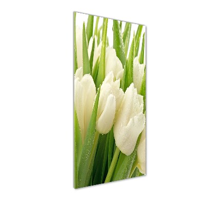 Verticale foto op glas Witte tulpen