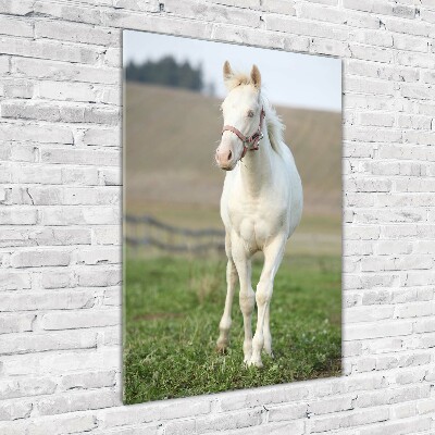 Verticale glasfoto Albino paard