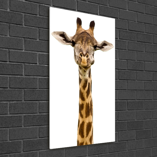 Verticale glasfoto Giraffe