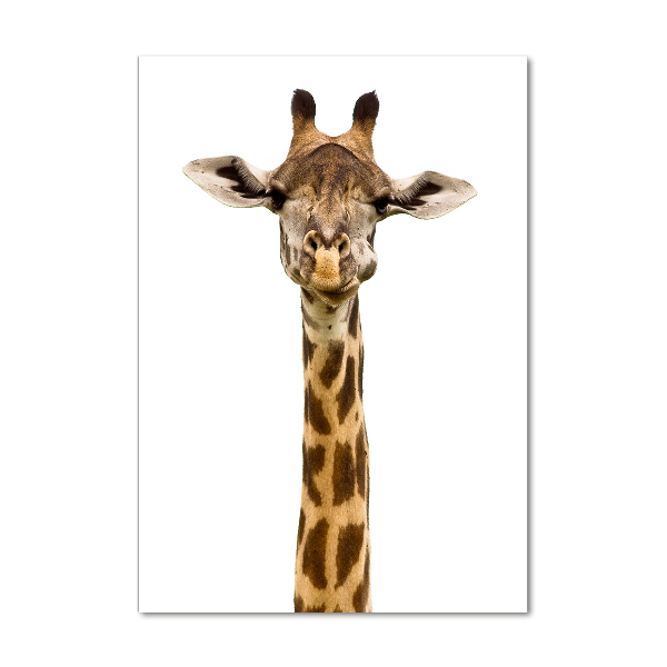 Verticale glasfoto Giraffe
