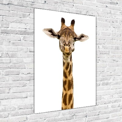 Verticale glasfoto Giraffe