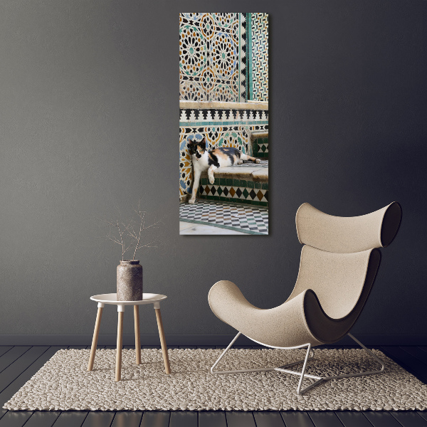 Foto obraz szkło hartowane pionowy Kot w Maroko