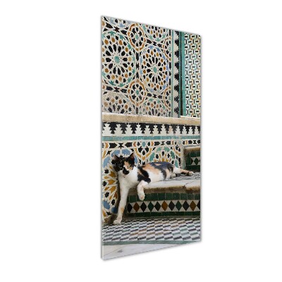 Foto obraz szkło hartowane pionowy Kot w Maroko
