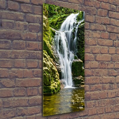 Verticale foto op glas Waterval