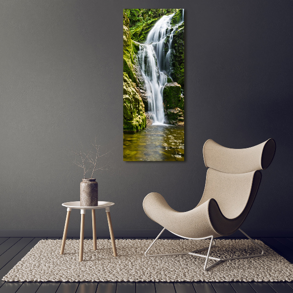 Verticale foto op glas Waterval