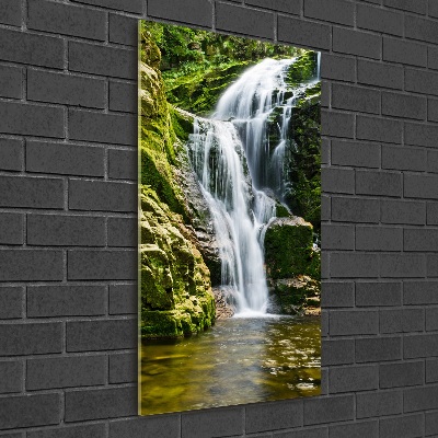Verticale foto op glas Waterval