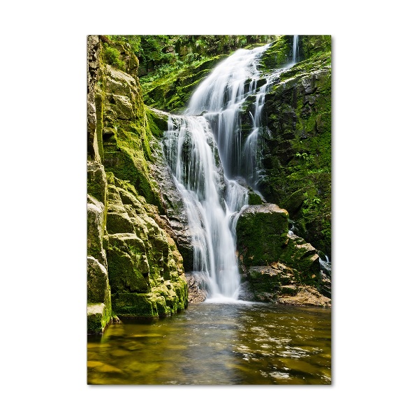 Verticale foto op glas Waterval