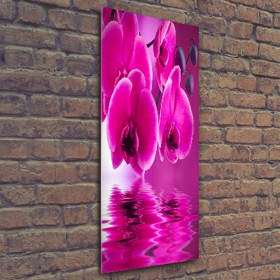 Verticale foto op glas Roze orchidee