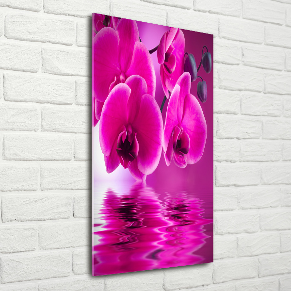 Verticale foto op glas Roze orchidee