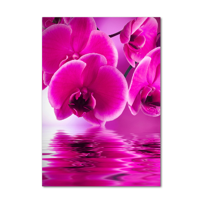 Verticale foto op glas Roze orchidee