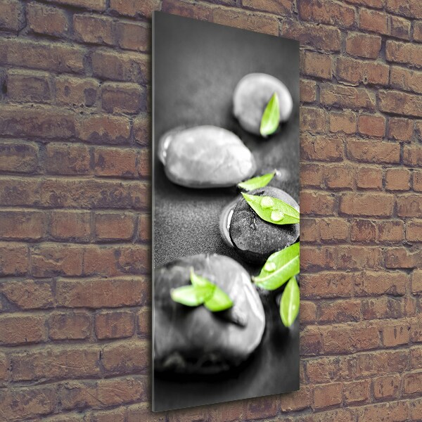 Verticale foto op glas Bladeren zen stenen