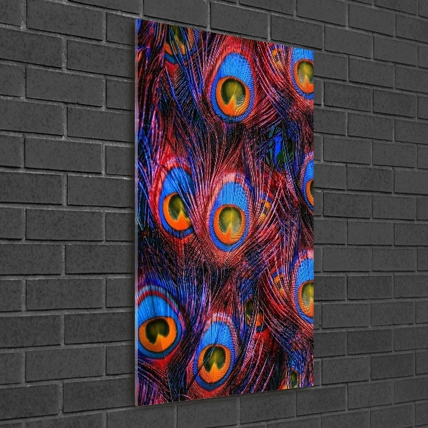 Foto obraz szkło hartowane pionowy Pawie pióra