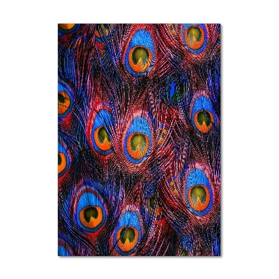 Foto obraz szkło hartowane pionowy Pawie pióra