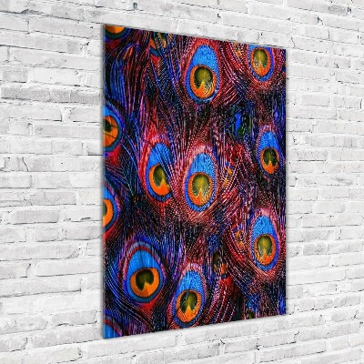 Verticale glasfoto Pauwenveren