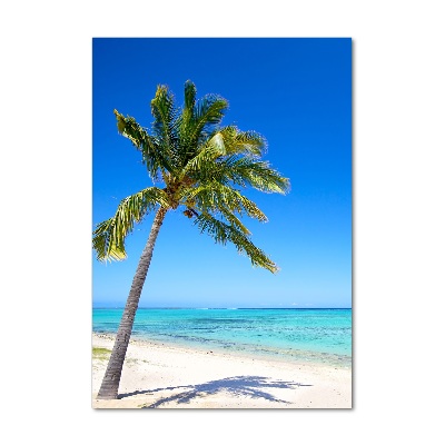 Foto obraz szklany pionowy Tropikalna plaża