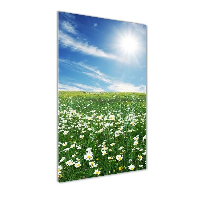 Verticale glasfoto Wei