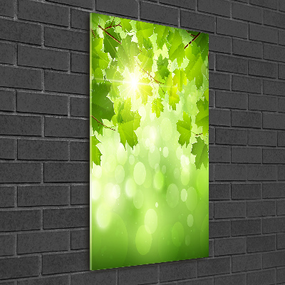 Verticale glasfoto Groene bladeren