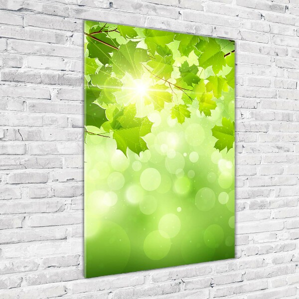 Verticale glasfoto Groene bladeren
