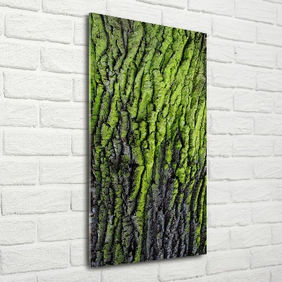 Verticale foto op glas Boomschors