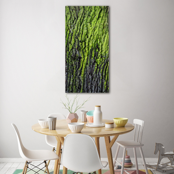 Verticale foto op glas Boomschors