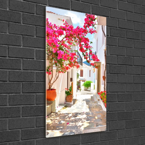 Foto obraz na szkle pionowy Greckie uliczki
