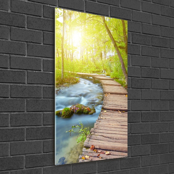 Foto obraz na szkle pionowy Ścieżka w lesie