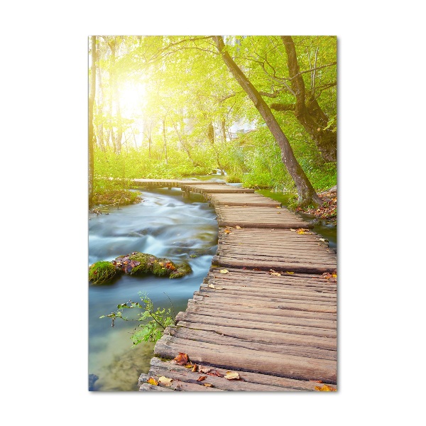 Foto obraz na szkle pionowy Ścieżka w lesie