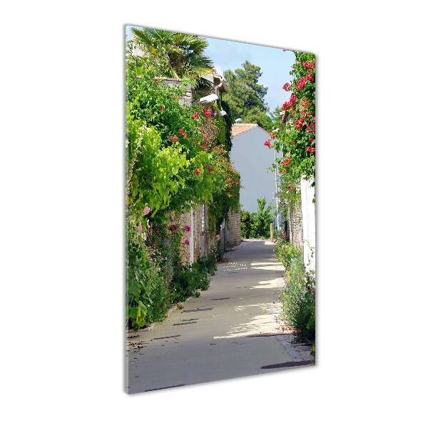 Verticale glasfoto Franse straten