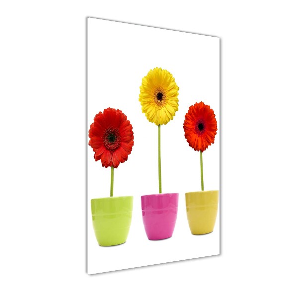 Verticale foto op glas Kleurrijke gerbera's