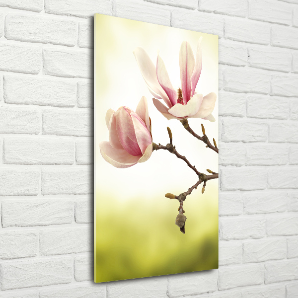 Verticale glasfoto Magnolia bloemen