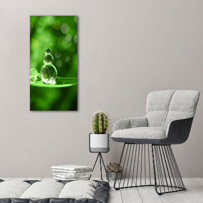 Verticaal glasschilderij Druppels op het gras