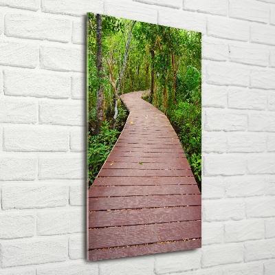 Foto obraz na szkle pionowy Ścieżka w dżungli