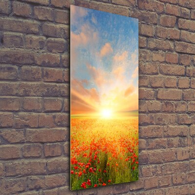 Verticale foto op glas Klaprozenveld