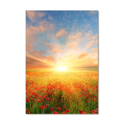 Verticale foto op glas Klaprozenveld